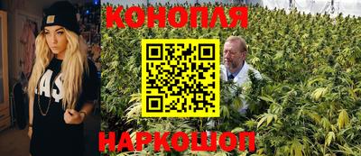 амф Обь