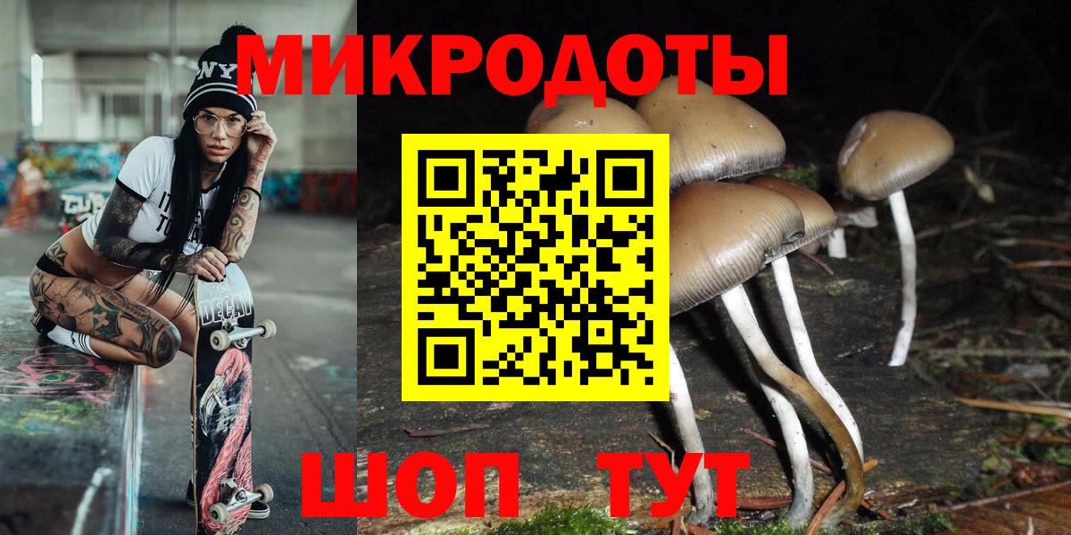 Галлюциногенные грибы прущие грибы Скопин